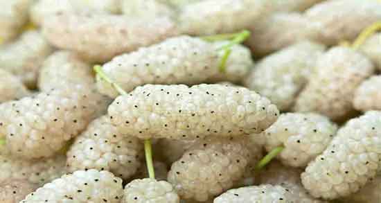 توت در دوران بارداری ؛ فواید مصرف توت خشک شده برای جنین زنان باردار