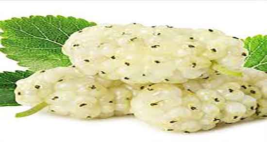 توت در رژیم کتوژنیک و ایا مصرف توت برای رژیم کتوژنیک مفید است توت در رژیم کتوژنیک ؛ ایا مصرف توت برای رژیم کتوژنیک مفید است