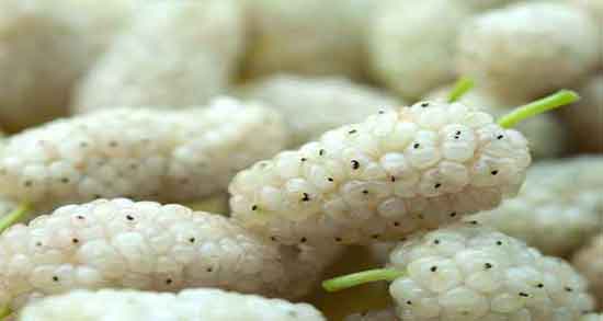 توت و فشار خون و ایا خوردن توت قرمز برای کنترل فشار خون مفید است توت و فشار خون ؛ ایا خوردن توت قرمز برای کنترل فشار خون مفید است