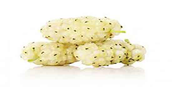 توت و یبوست ؛ ایا مصرف توت برای یبوست کودکان مفید است