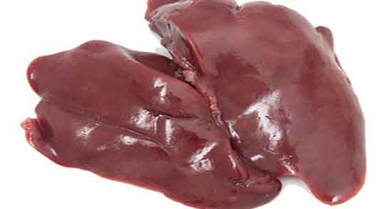 جگر برای گربه ؛ ایا دادن جگر گوسفند به توله گربه خطرناک است