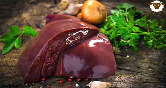 جگر و دیابت ؛ ایا خوردن جگر برای کنترل قند خون مفید است یا نه جگر و دیابت ؛ ایا خوردن جگر برای کنترل قند خون مفید است یا نه