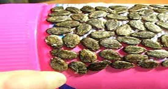 خاصیت تخمه هندوانه خام ؛ خواص تخمه هندوانه خام در طب سنتی خاصیت تخمه هندوانه خام ؛ خواص تخمه هندوانه خام در طب سنتی