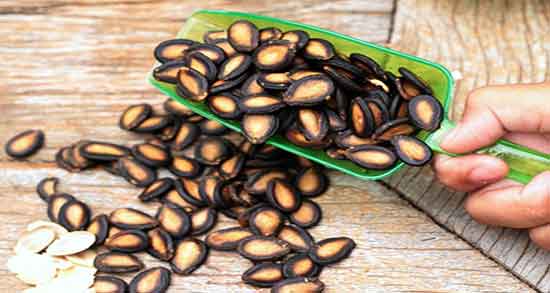 خاصیت تخمه ژاپنی ؛ خواص تخمه ژاپنی از نظر طب سنتی چیست خاصیت تخمه ژاپنی ؛ خواص تخمه ژاپنی از نظر طب سنتی چیست