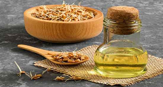 خاصیت روغن جوانه گندم ؛ خواص روغن جوانه گندم برای چاقی صورت خاصیت روغن جوانه گندم ؛ خواص روغن جوانه گندم برای چاقی صورت