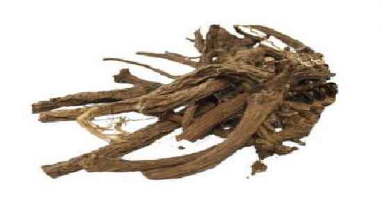 خاصیت ریشه زرشک برای دام و بررسی خواص و ارزش غذایی ریشه زرشک برای دام خاصیت ریشه زرشک برای دام ؛ بررسی خواص و ارزش غذایی ریشه زرشک برای دام