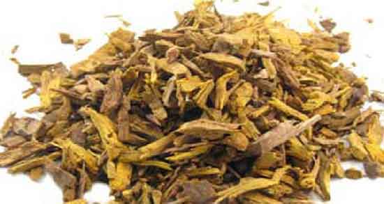 خاصیت ریشه زرشک و درمان بی اشتهایی با مصرف ریشه زرشک خاصیت ریشه زرشک ؛ درمان بی اشتهایی با مصرف ریشه زرشک