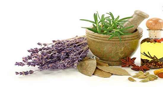 خاصیت سنبل الطیب ؛ خواص سنبل الطیب و اسطوخودوس چیست