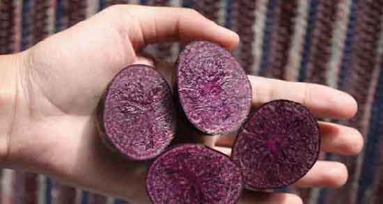 خاصیت سیب زمینی بنفش ؛ استفاده از سیب زمینی بنفش چه خواصی برای سلامتی دارد