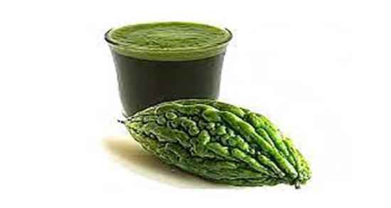 خربزه تلخ در ارومیه ؛ برداشت خربزه تلخ از زمین های کشاورزی ارومیه