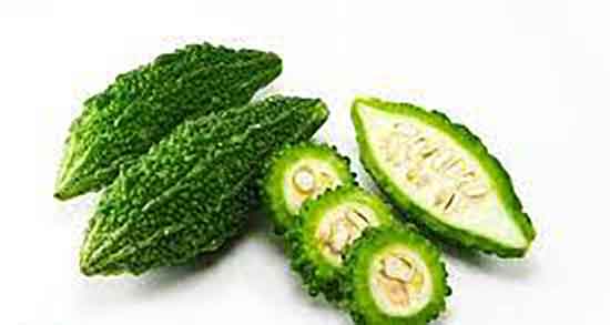 خربزه تلخ در ایران ؛ ایا در ایران هم خربزه تلخ کاشت میشود یا نه خربزه تلخ در ایران ؛ ایا در ایران هم خربزه تلخ کاشت میشود یا نه