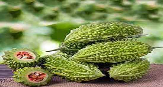 خربزه تلخ یا کارلا ؛ ایا خربزه تلخ یا کارلا برای زخم معده مفید است خربزه تلخ یا کارلا ؛ ایا خربزه تلخ یا کارلا برای زخم معده مفید است