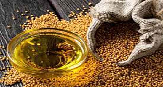 خردل از کجا بخرم ؛ خرید و فروش دانه خردل در فروشگاهای اینترنتی خردل از کجا بخرم ؛ خرید و فروش دانه خردل در فروشگاهای اینترنتی