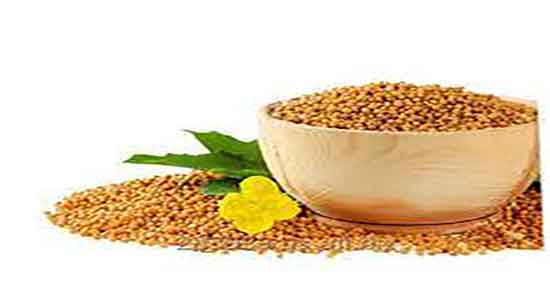 خردل برای پوست صورت ؛ فواید مصرف روغن خردل برای پوست صورت خردل برای پوست صورت ؛ فواید مصرف روغن خردل برای پوست صورت