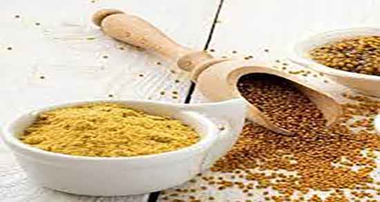 خردل در طب سنتی ؛ ایا مصرف خردل از نظر طب سنتی برای بدن مفیده