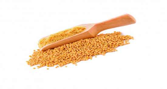 خردل و عسل ؛ ترکیب فوق العاده خردل و عسل برای رفع جوش صورت