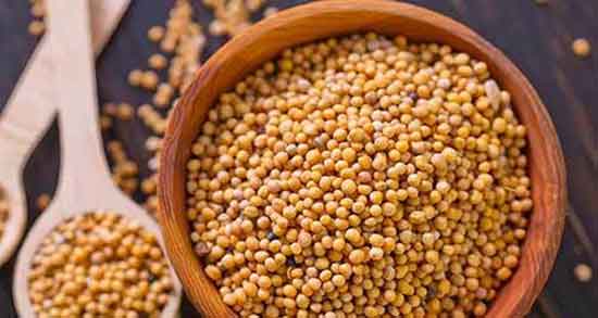 خردل و فشار خون ؛ خوردن خردل سبز و کنترل فشار خون بالا خردل و فشار خون ؛ خوردن خردل سبز و کنترل فشار خون بالا