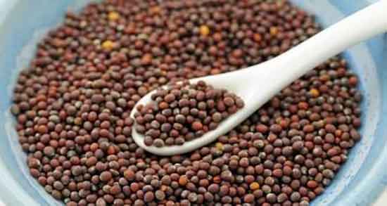 خردل و قند خون ؛ ایا مصرف سس خردل برای کنترل دیابت مفید است