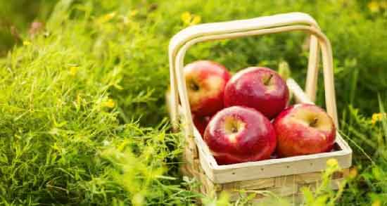 خواص آب سیب در دوران بارداری ؛ خاصیت مصرف آب سیب برای زنان باردار خواص آب سیب در دوران بارداری ؛ خاصیت مصرف آب سیب برای زنان باردار