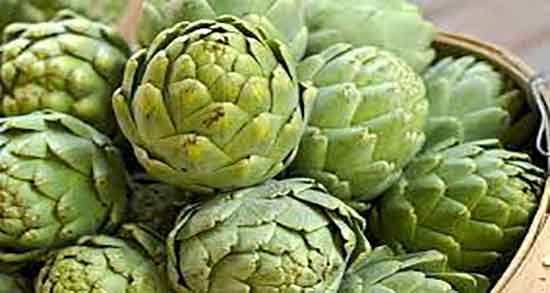 خواص آرتیشو خشک و ایا مصرف ارتیشو خشک برای سالاد مفیده خواص آرتیشو خشک ؛ ایا مصرف ارتیشو خشک برای سالاد مفیده