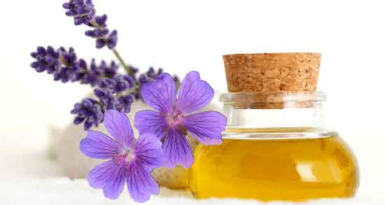 خواص اسطوخودوس برای خواب ؛ داشتن خوابی آرام و راحت با اسطوخودوس