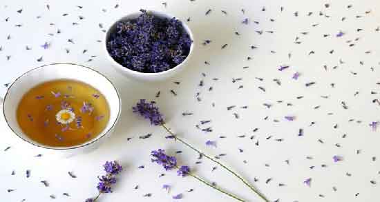 خواص اسطوخودوس در زایمان ؛ کاهش دردهای زایمان با استفاده از اسطوخودوس خواص اسطوخودوس در زایمان ؛ کاهش دردهای زایمان با استفاده از اسطوخودوس