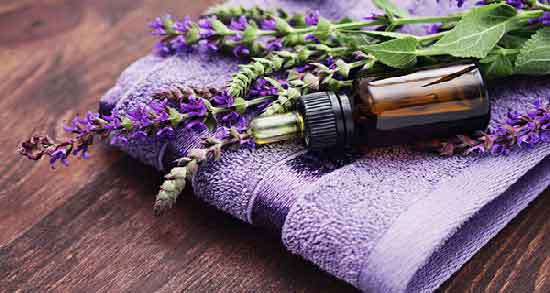 خواص اسطوخودوس در طب سنتی ؛ آشنایی با خواص درمانی اسطوخودوس از نظر طب سنتی خواص اسطوخودوس در طب سنتی ؛ آشنایی با خواص درمانی اسطوخودوس از نظر طب سنتی