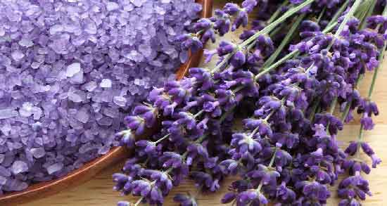 خواص اسطوخودوس در قاعدگی ؛ تاثیر اسطوخودوس برای کاهش دردهای دوران قاعدگی