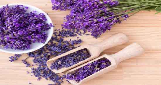 خواص اسطوخودوس و بادرنجبویه ؛ همه چیز درباره خاصیت های مصرف اسطوخودوس و بادرنجبویه خواص اسطوخودوس و بادرنجبویه ؛ همه چیز درباره خاصیت های مصرف اسطوخودوس و بادرنجبویه