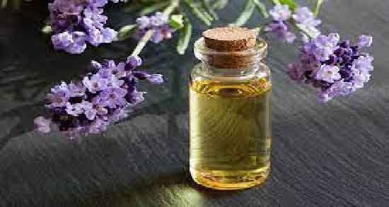 خواص اسطوخودوس و بهار نارنج ؛ درمان تپش قلب با اسطوخودوس و بهار نارنج خواص اسطوخودوس و بهار نارنج ؛ درمان تپش قلب با اسطوخودوس و بهار نارنج