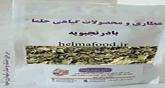 خواص بادرنجبویه و به لیمو ؛ طرز تهیه دمنوش بادرنجبویه و به لیمو خواص بادرنجبویه و به لیمو ؛ طرز تهیه دمنوش بادرنجبویه و به لیمو