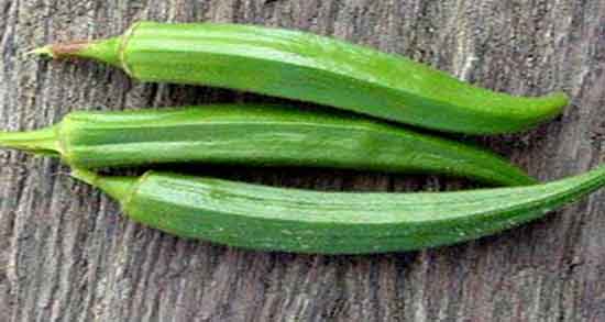 خواص بامیه در شیردهی ؛ ایا خوردن بامیه موجب افزایش شیر میشود خواص بامیه در شیردهی ؛ ایا خوردن بامیه موجب افزایش شیر میشود