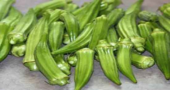 خواص بامیه در لاغری ؛ فواید خوردن بامیه برای کاهش وزن بدن خواص بامیه در لاغری ؛ فواید خوردن بامیه برای کاهش وزن بدن