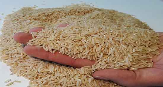 خواص برنج قهوه ای برای دیابت ؛ خوردن برنج قهوه ای برای کنترل قند خون خواص برنج قهوه ای برای دیابت ؛ خوردن برنج قهوه ای برای کنترل قند خون