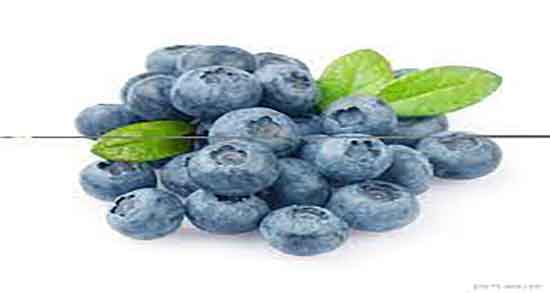 خواص بلوبری برای بدن ؛ فواید مصرف بلوبری برای دستگاه تنفسی