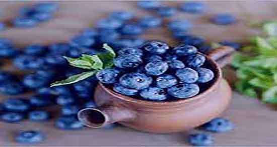 خواص بلوبری برای معده و ایا بلوبری برای تقویت زخم معده مفیده خواص بلوبری برای معده ؛ ایا بلوبری برای تقویت زخم معده مفیده