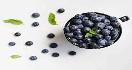 خواص بلوبری برای چشم ؛ فواید مصرف بلوبری برای تقویت نور چشم خواص بلوبری برای چشم ؛ فواید مصرف بلوبری برای تقویت نور چشم