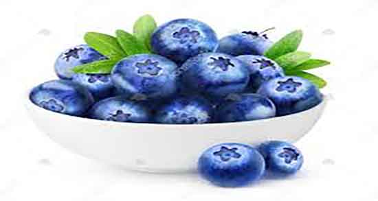 خواص بلوبری در بارداری و خاصیت خوردن بلوبری برای زنان باردار چیست خواص بلوبری در بارداری ؛ خاصیت خوردن بلوبری برای زنان باردار چیست