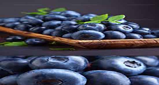 خواص بلوبری در دوران بارداری ؛ ایا بلوبری در دوران بارداری مفید است خواص بلوبری در دوران بارداری ؛ ایا بلوبری در دوران بارداری مفید است