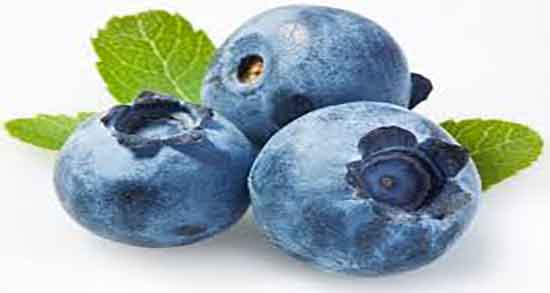 خواص بلوبری در لاغری ؛ فواید مصرف چای بلوبری برای چربی سوزی خواص بلوبری در لاغری ؛ فواید مصرف چای بلوبری برای چربی سوزی