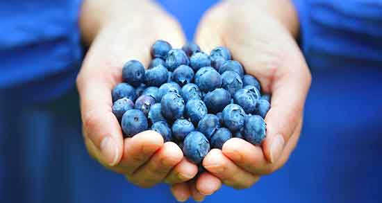 خواص بلوبری و جلبک دریایی ؛ مصرف پودر جلبک دریایی و بلوبری برای لاغری خواص بلوبری و جلبک دریایی ؛ مصرف پودر جلبک دریایی و بلوبری برای لاغری