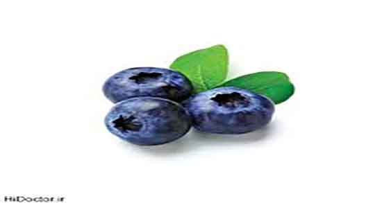 خواص بلوبری چیست ؛ ایا مصرف بلوبری برای چربی سوزی بدن مفیده خواص بلوبری چیست ؛ ایا مصرف بلوبری برای چربی سوزی بدن مفیده