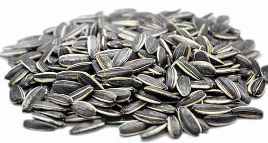 خواص تخمه آفتابگردان برای لاغری ؛ فواید تخمه آفتابگردان در لاغری