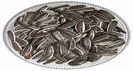 خواص تخمه آفتابگردان برای کودکان ؛ مغز تخمه آفتابگردان برای اطفال خواص تخمه آفتابگردان برای کودکان ؛ مغز تخمه آفتابگردان برای اطفال