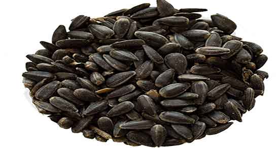 خواص تخمه آفتابگردان در شیردهی ؛ فواید تخمه آفتابگردان در شیردهی خواص تخمه آفتابگردان در شیردهی ؛ فواید تخمه آفتابگردان در شیردهی