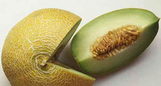 خواص تخمه خربزه و طالبی ؛ تخمه خربزه و طالبی برای سرماخوردگی خواص تخمه خربزه و طالبی ؛ تخمه خربزه و طالبی برای سرماخوردگی