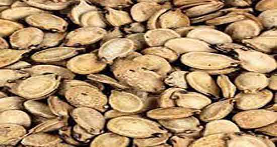 خواص تخمه هندوانه ابوجهل ؛ تخمه هندوانه ابوجهل برای درد مفاصل خواص تخمه هندوانه ابوجهل ؛ تخمه هندوانه ابوجهل برای درد مفاصل