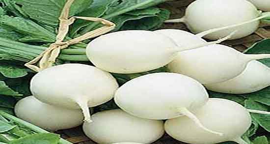 خواص ترب سفید برای معده ؛ خوردن ترب سفید برای درمان زخم معده خواص ترب سفید برای معده ؛ خوردن ترب سفید برای درمان زخم معده