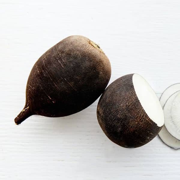 خواص ترب سیاه برای ریه ؛ ایا مصرف ترب سیاه برای عفونت ریه مفیده خواص ترب سیاه برای ریه ؛ ایا مصرف ترب سیاه برای عفونت ریه مفیده