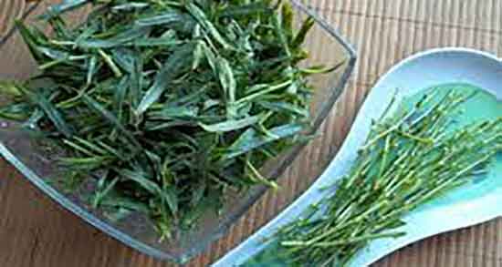 خواص ترخون برای دیابت ؛ ایا ترخون برای کنترل قند خون مفید است خواص ترخون برای دیابت ؛ ایا ترخون برای کنترل قند خون مفید است